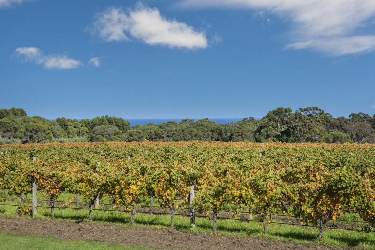 Iconic Property – Margaret River Wine Region gallery
