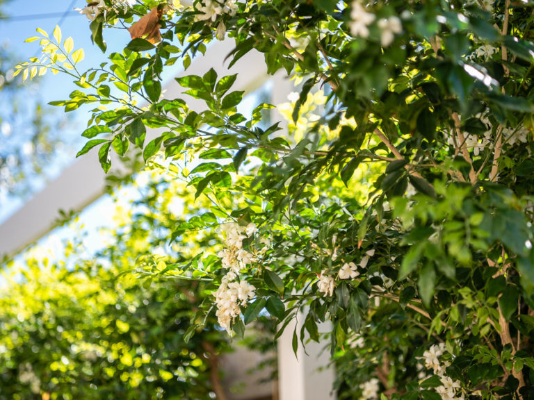 109A Shenton Road gallery