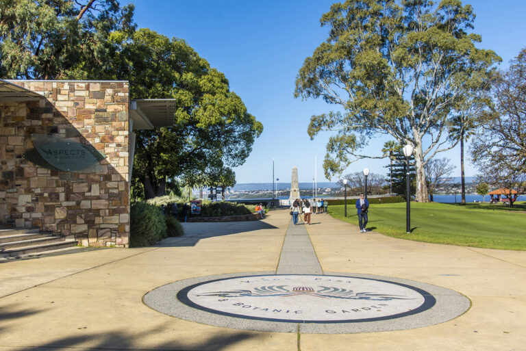 Townhouse 1, 39 Megalong Street gallery