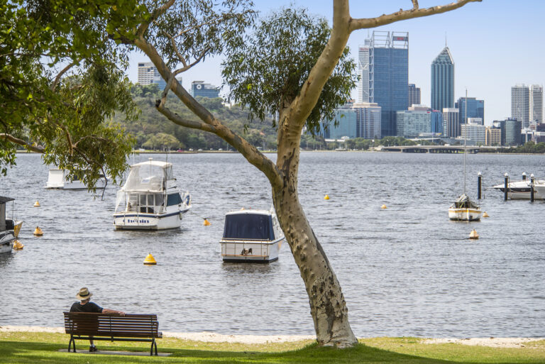Townhouse 1, 39 Megalong Street gallery