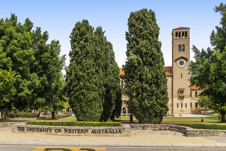 Townhouse 1, 39 Megalong Street gallery