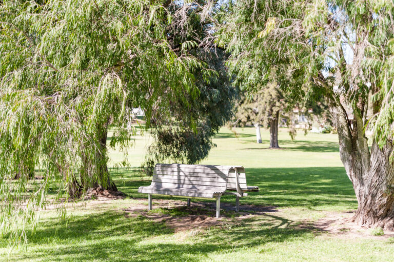 30 Lisle Street gallery