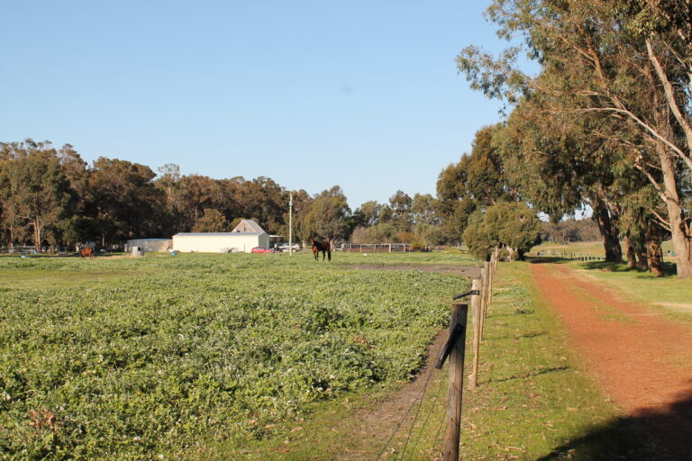 65 Electra Road gallery