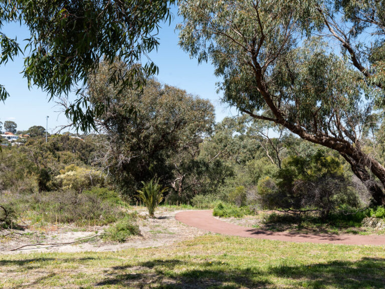 21 Cleland Street gallery