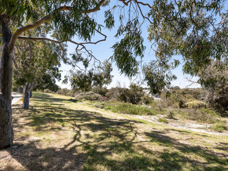 21 Cleland Street gallery