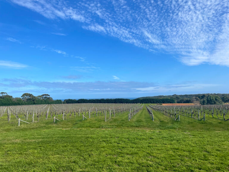 Incredibly Rare Opportunity West of Caves Road gallery