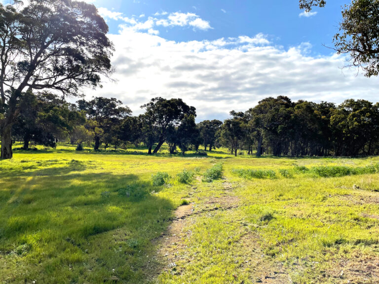 Incredibly Rare Opportunity West of Caves Road gallery