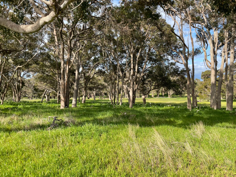 Incredibly Rare Opportunity West of Caves Road gallery