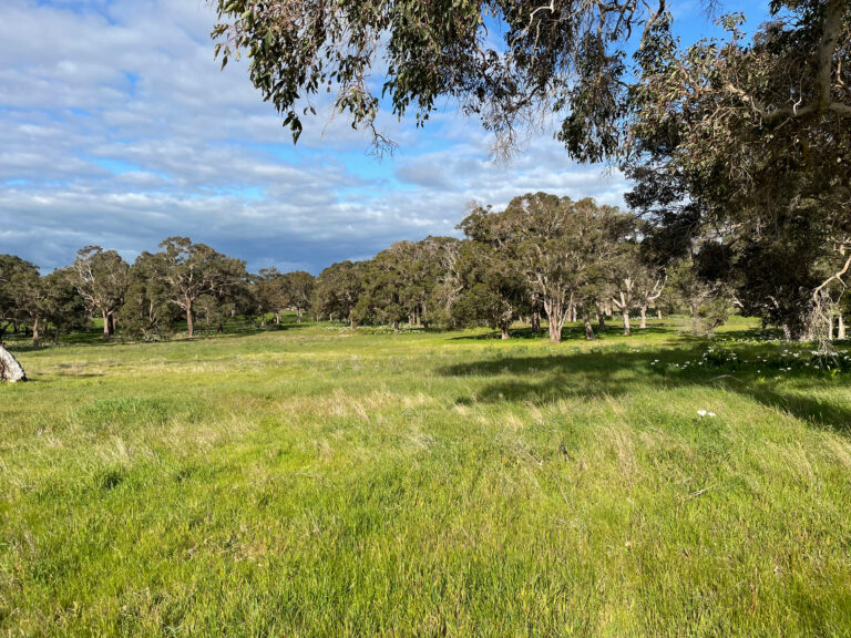 Incredibly Rare Opportunity West of Caves Road gallery