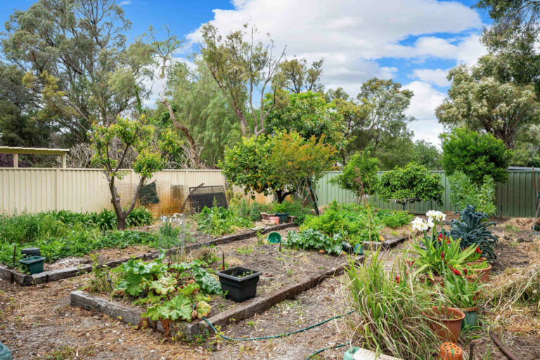 28 Collis Road gallery