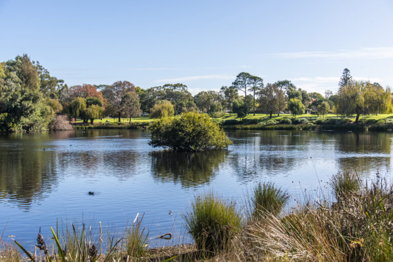 26 / 12 Onslow Road gallery