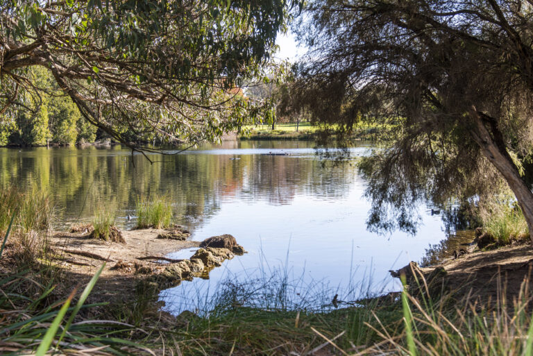 26 / 12 Onslow Road gallery