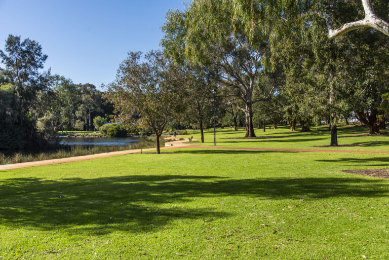 26 / 12 Onslow Road gallery