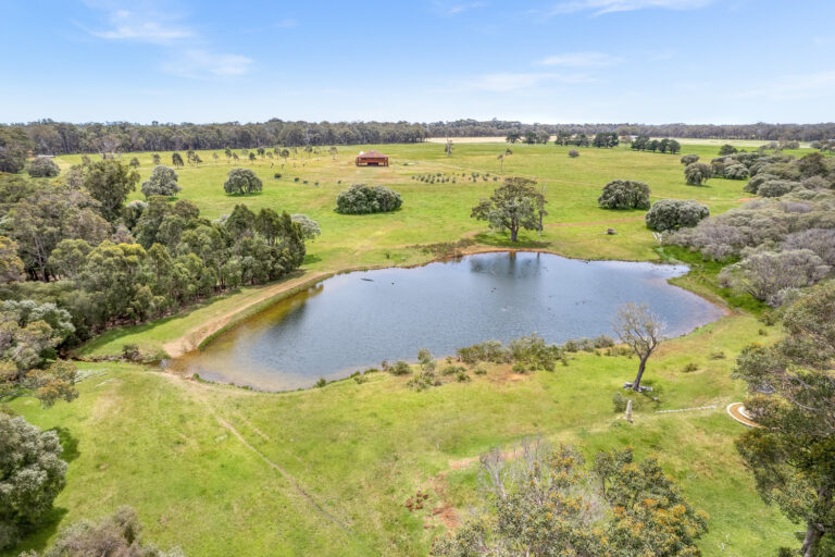 33 Barnett Grove gallery