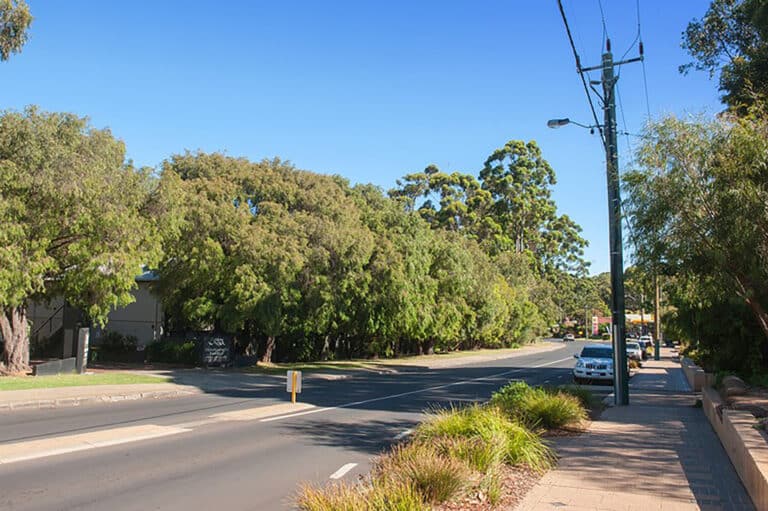 95 Bussell Hwy gallery