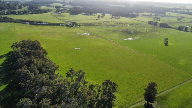 407 Donaldson Road gallery