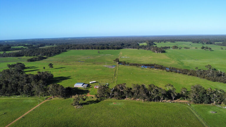 407 Donaldson Road gallery