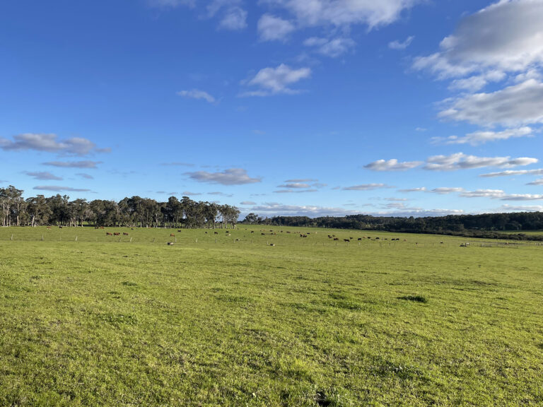 407 Donaldson Road gallery