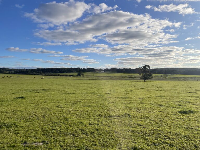 407 Donaldson Road gallery