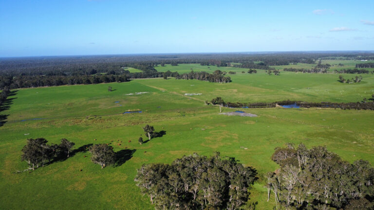 407 Donaldson Road gallery