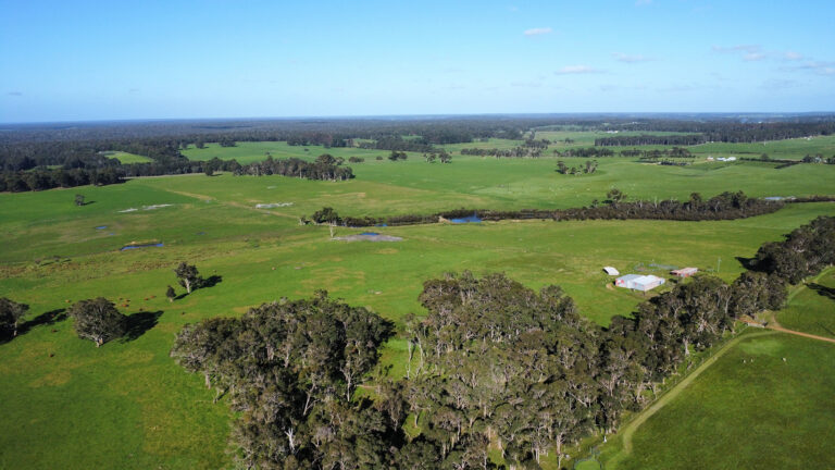 407 Donaldson Road gallery