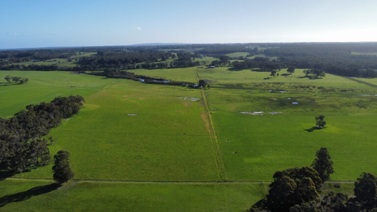 407 Donaldson Road gallery