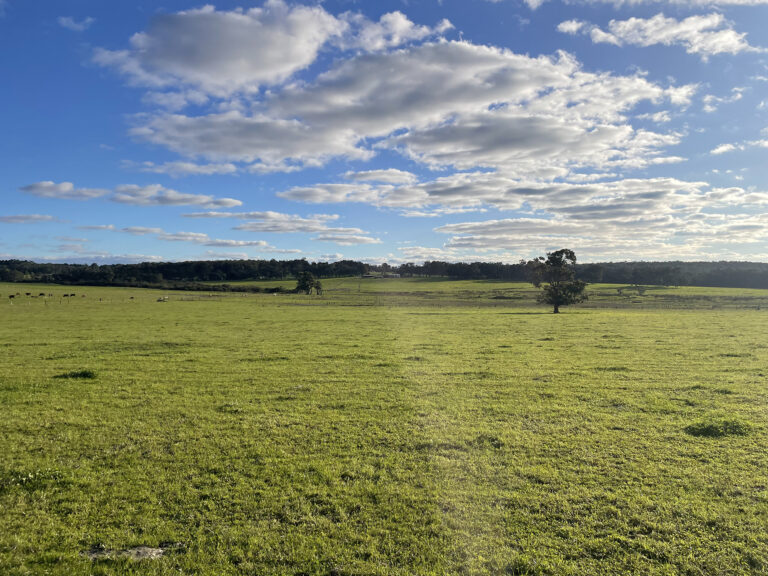 407 Donaldson Road gallery