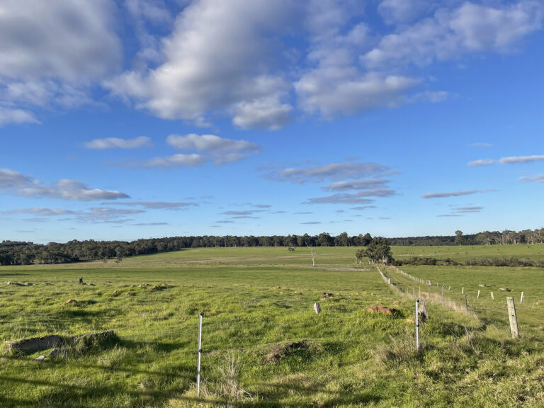 407 Donaldson Road gallery