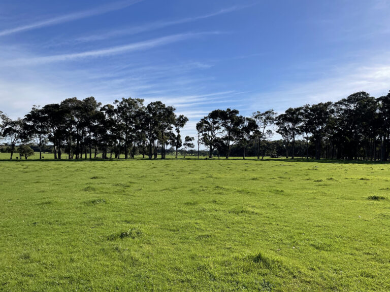 310 Cowaramup Bay Road gallery
