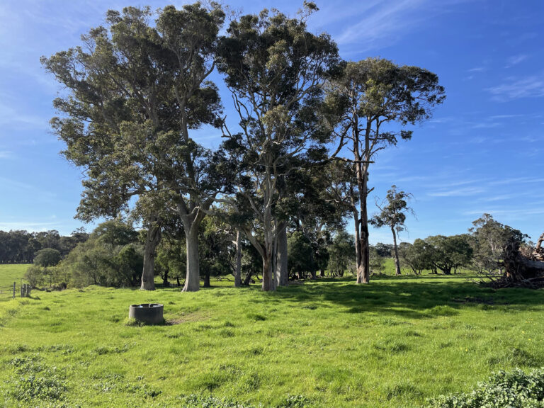 310 Cowaramup Bay Road gallery