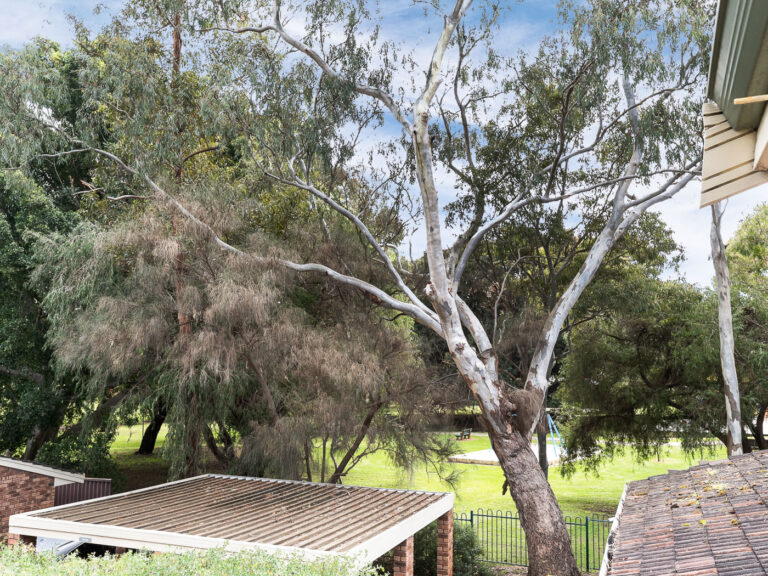5/44 Davies Road gallery