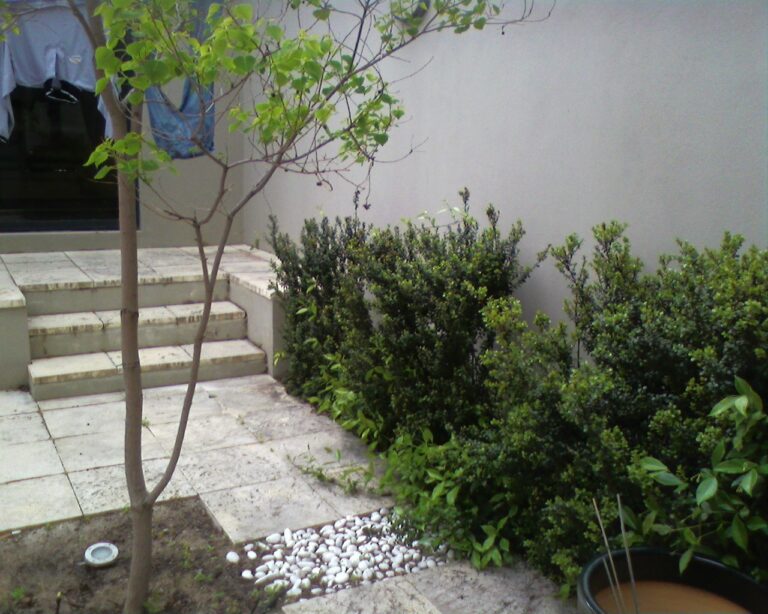 30D Coral Tree Lane gallery