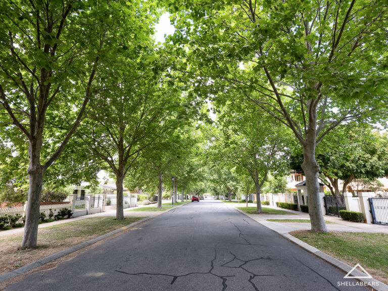 19A Goldsworthy Road gallery