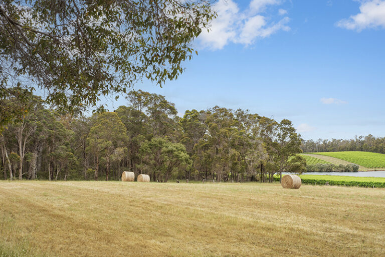 504 Metricup Road gallery