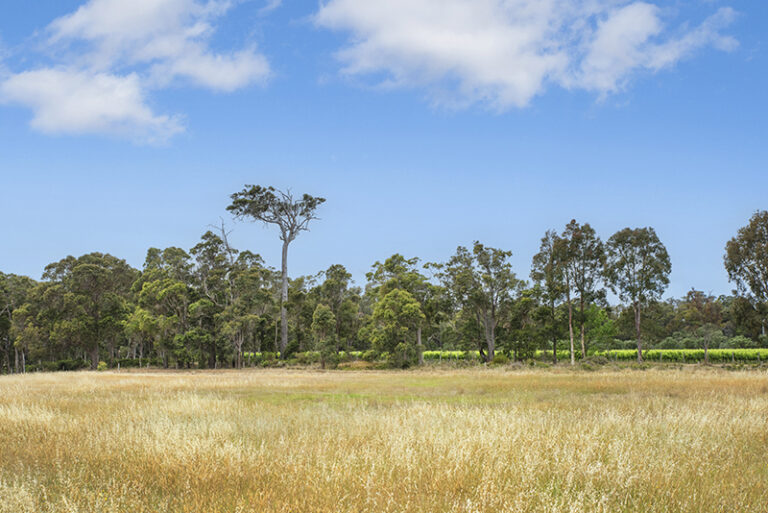 504 Metricup Road gallery