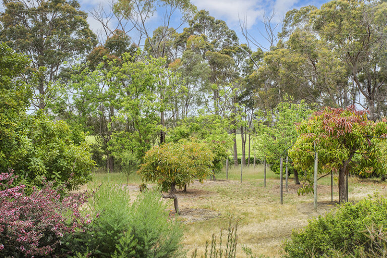 504 Metricup Road gallery