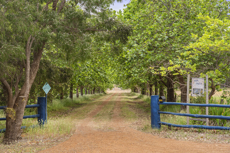 504 Metricup Road gallery