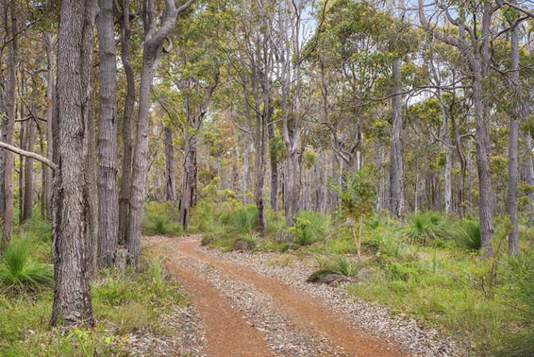 504 Metricup Road gallery