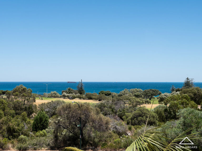 80 Broome Street gallery