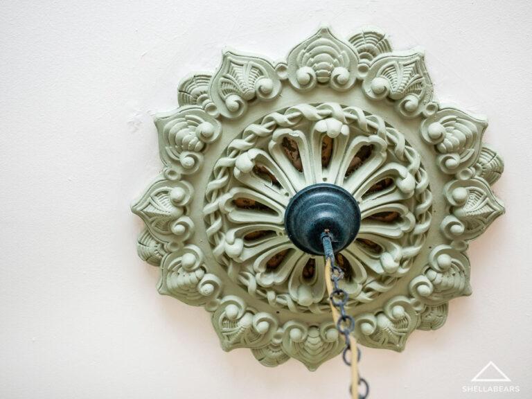 37 Florence Street gallery