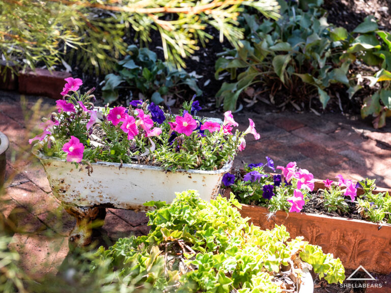 37 Florence Street gallery