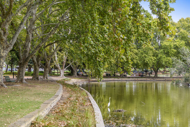 3/34 Palmerston Street gallery