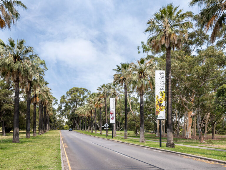 14/10 Aberdare Road gallery