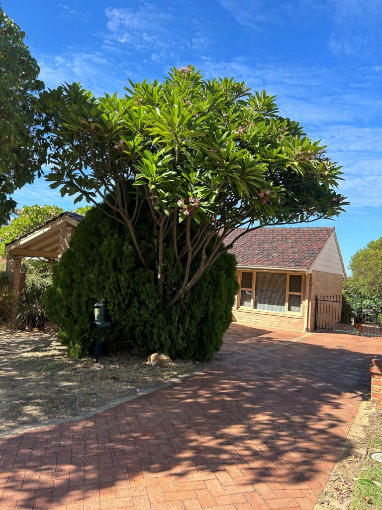 69 Evandale Street gallery