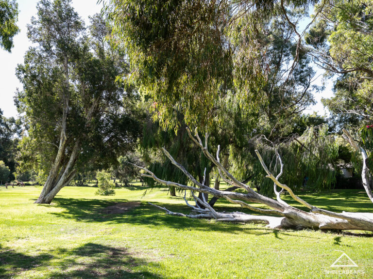 10 Lakeway Street gallery