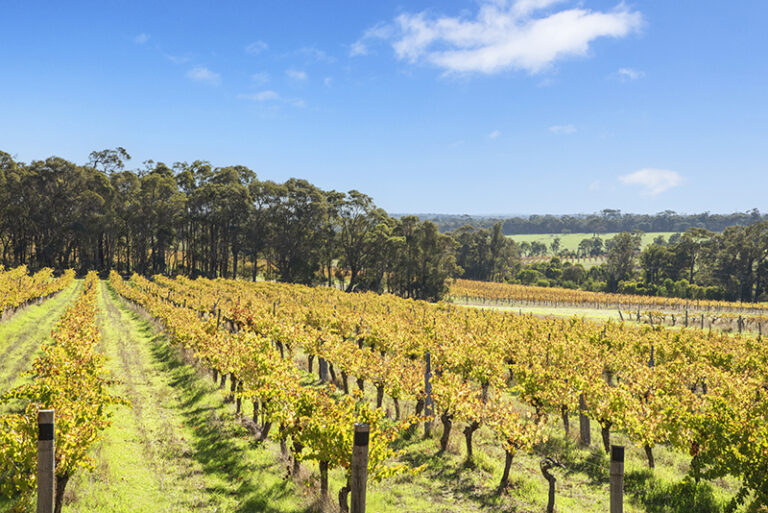 555 Harmans Mill Road gallery