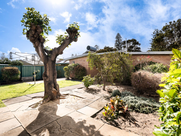 261 Curtin Avenue gallery