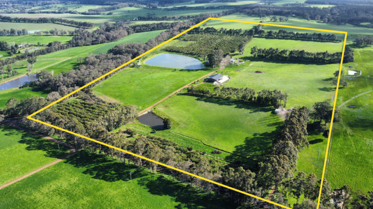 CURLY CREEK FARM gallery