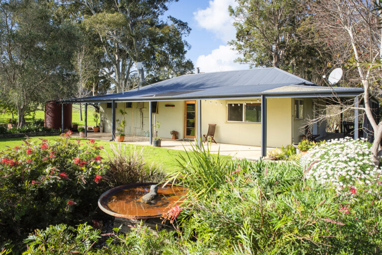 CURLY CREEK FARM gallery