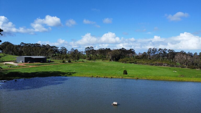 CURLY CREEK FARM gallery